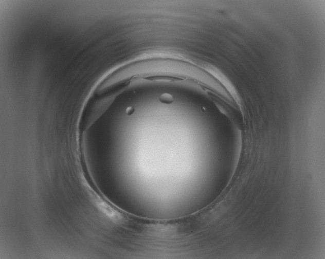 X0000082930996200702081536