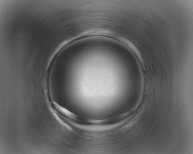 X0000082930997200702081536