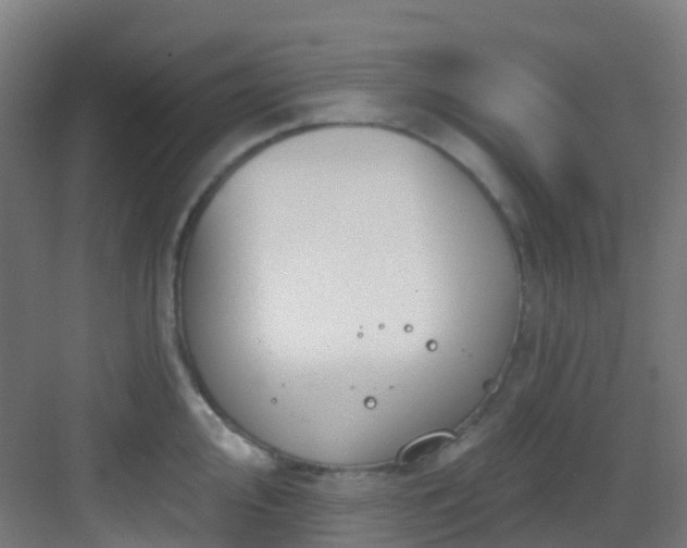 X0000082931000200702081536