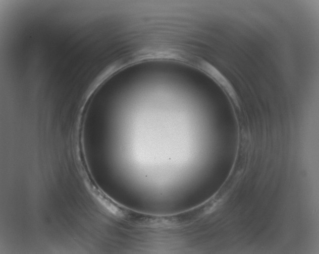 X0000082931002200702081536