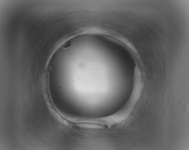 X0000082931008200702081536