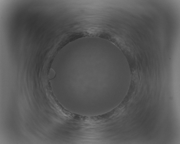 X0000082931009200702081535