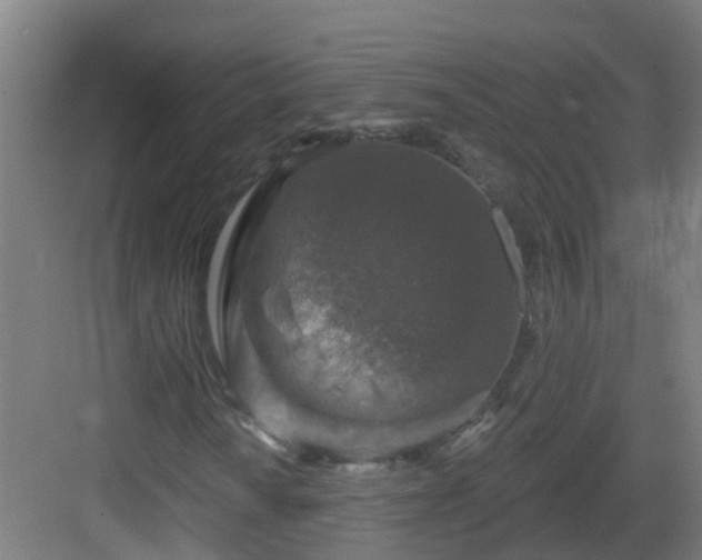 X0000082931010200702081535