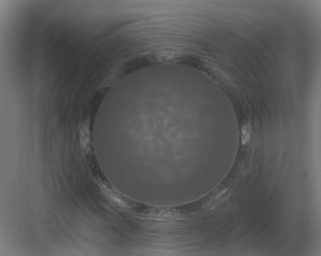 X0000082931011200702081535