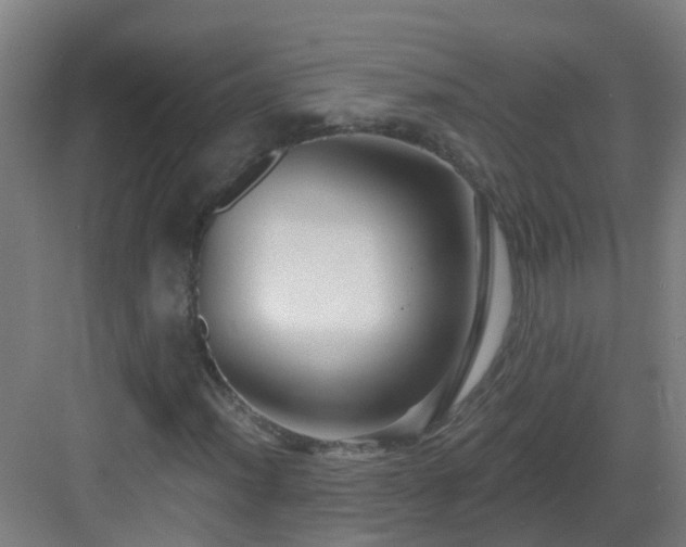 X0000082931012200702081535