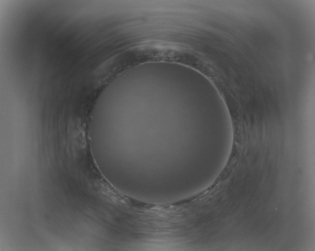 X0000082931013200702081535