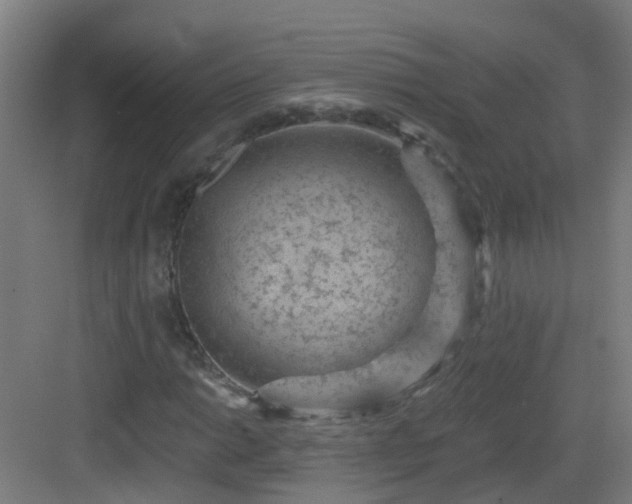 X0000082931014200702081535