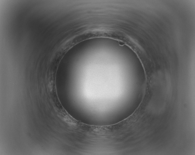 X0000082931015200702081535