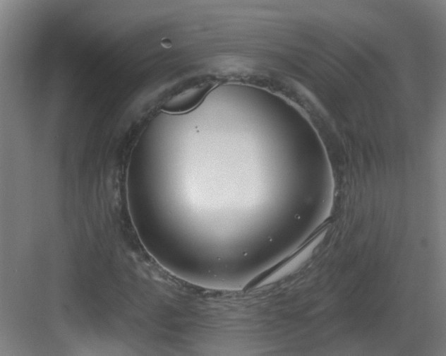 X0000082931016200702081535