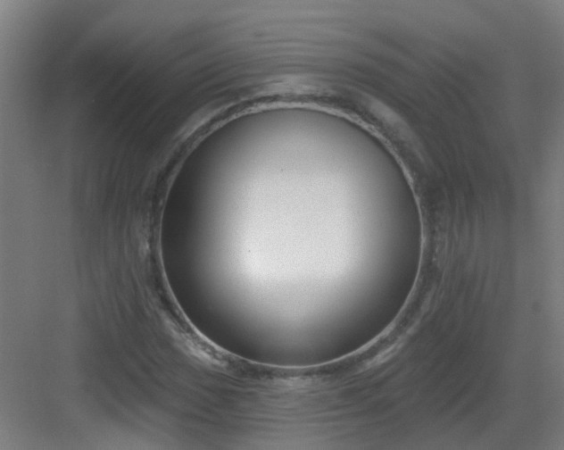 X0000082931017200702081535