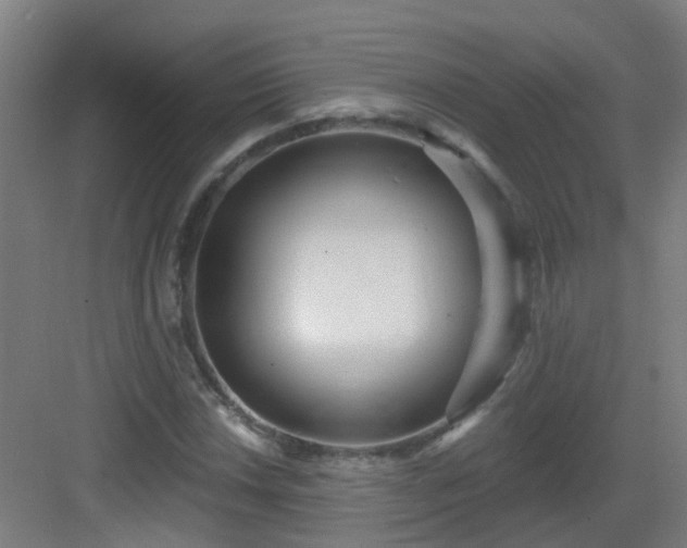 X0000082931018200702081535