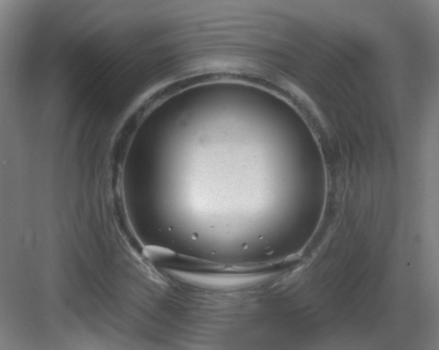 X0000082931019200702081535