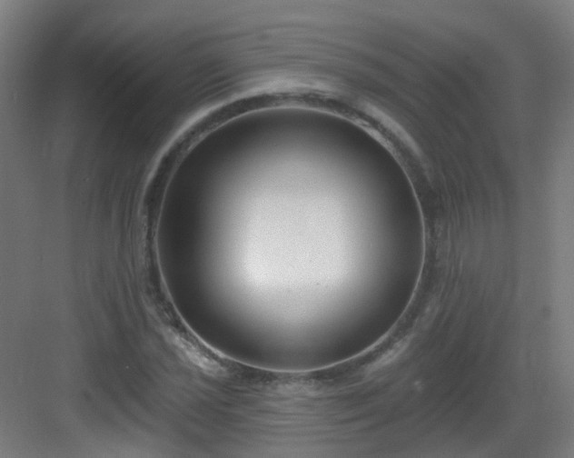 X0000082931021200702081535