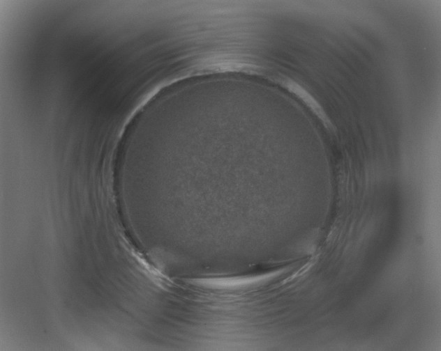 X0000082931023200702081535