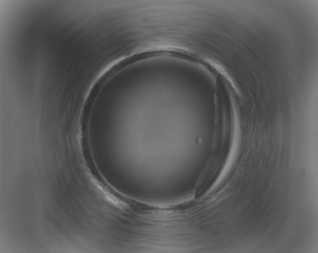 X0000082931024200702081535