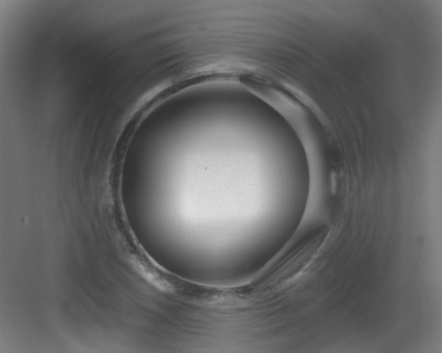 X0000082931026200702081535