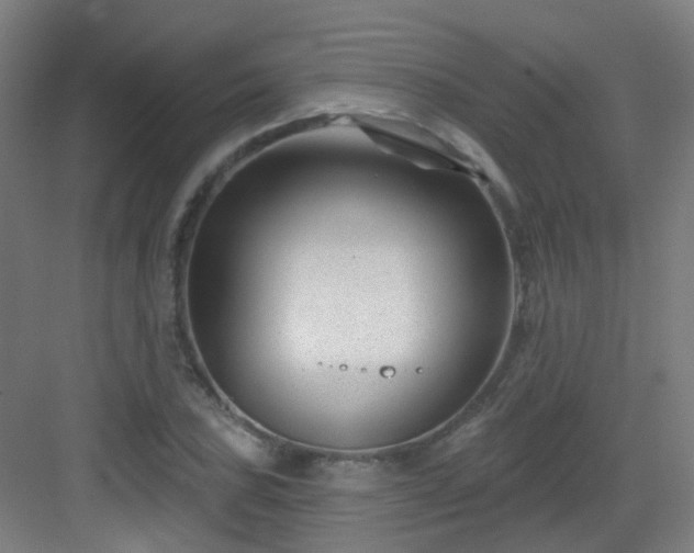 X0000082931027200702081535