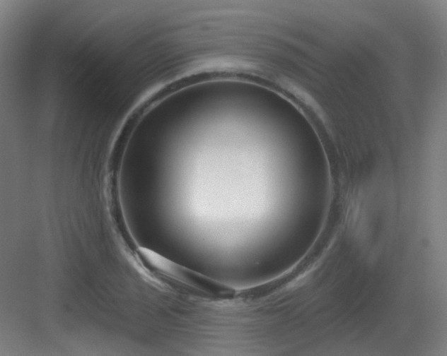 X0000082931029200702081535