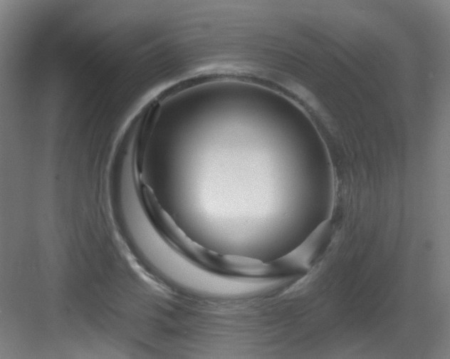 X0000082931030200702081535