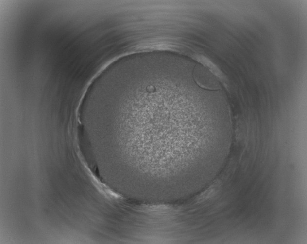 X0000082931031200702081535