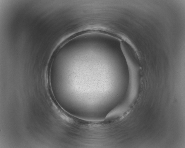 X0000082931032200702081535