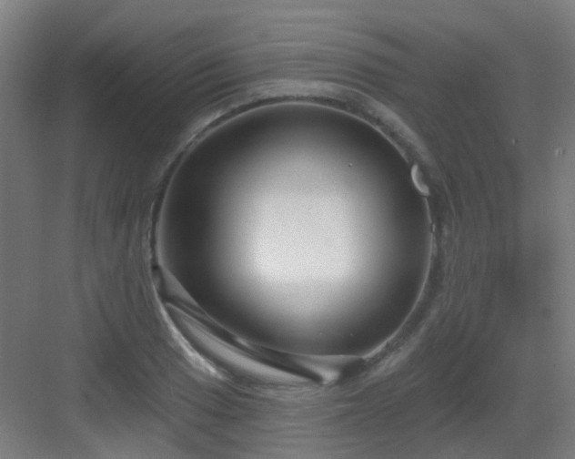 X0000082931033200702081535