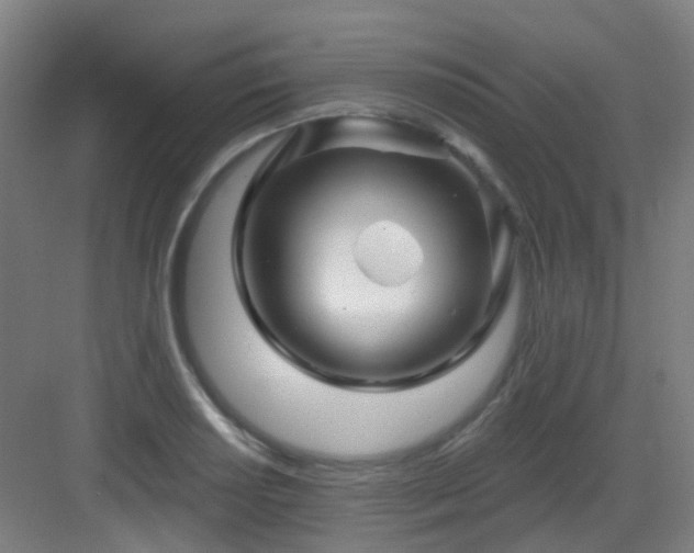 X0000082931034200702081535