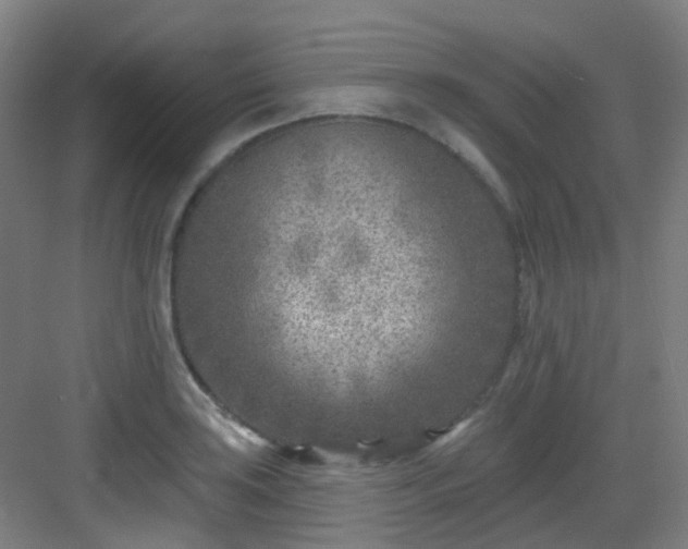 X0000082931035200702081535