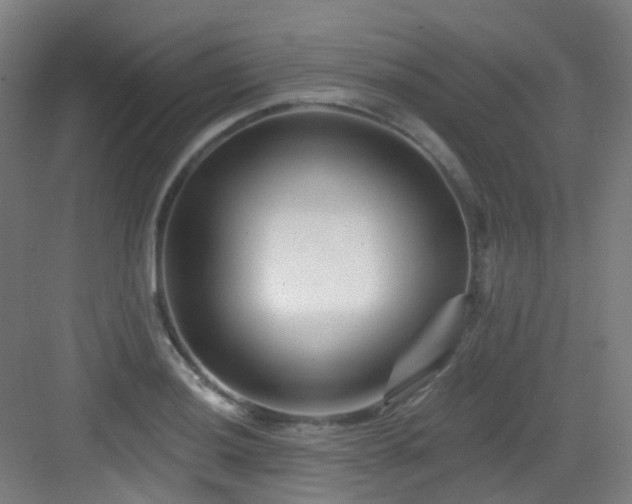 X0000082931036200702081535