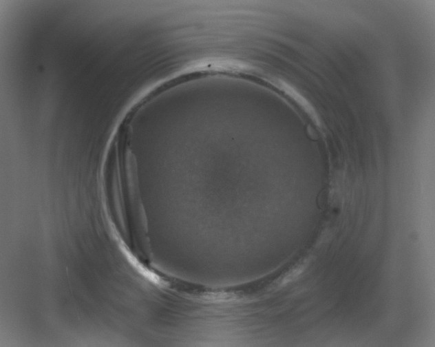 X0000082931037200702081535