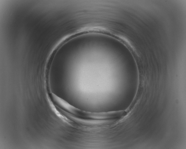 X0000082931038200702081535