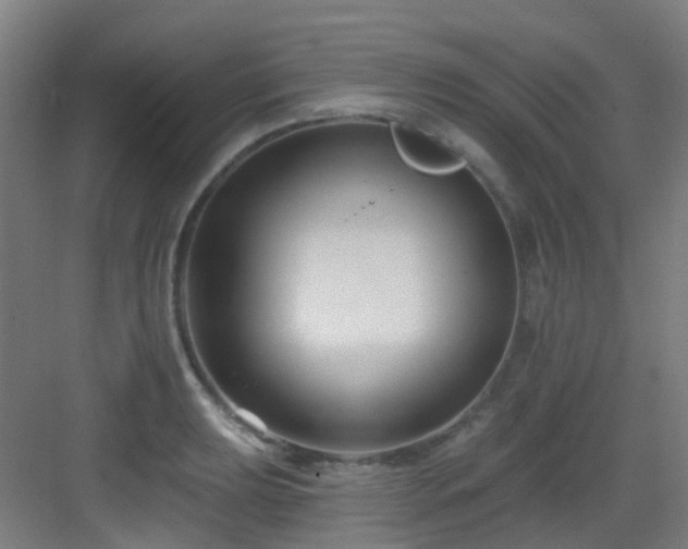 X0000082931039200702081535