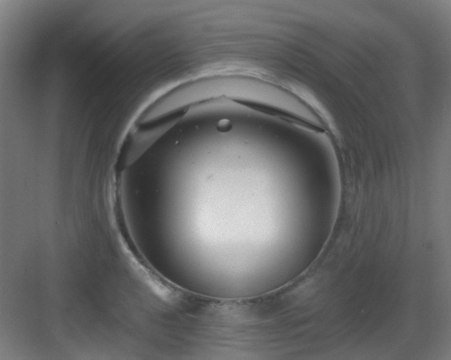 X0000082931040200702081535