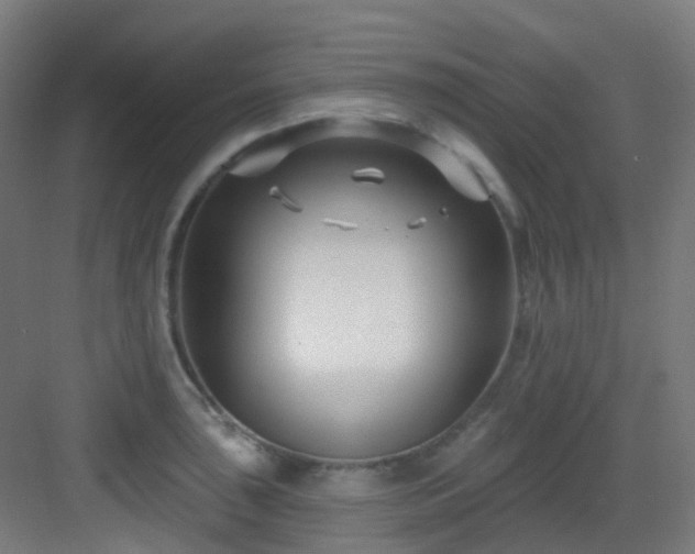 X0000082931043200702081535