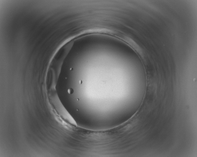 X0000082931044200702081535