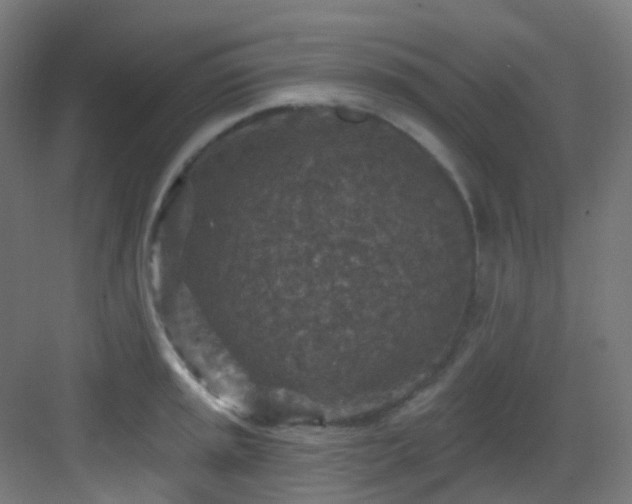 X0000082931045200702081535