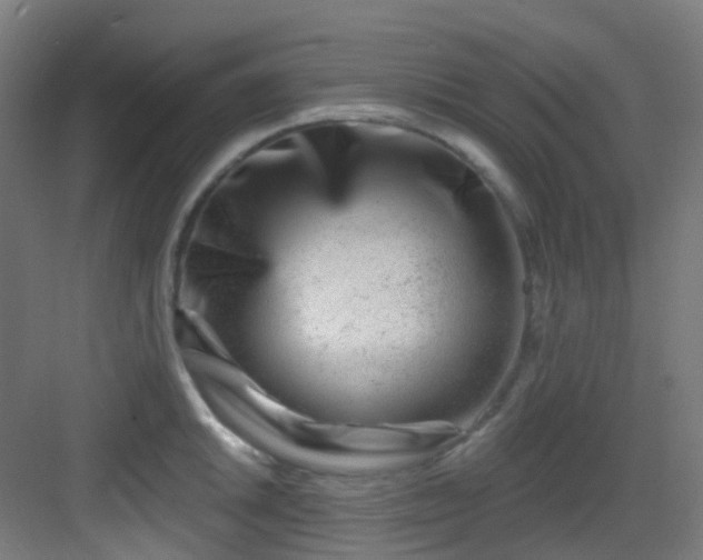 X0000082931046200702081535