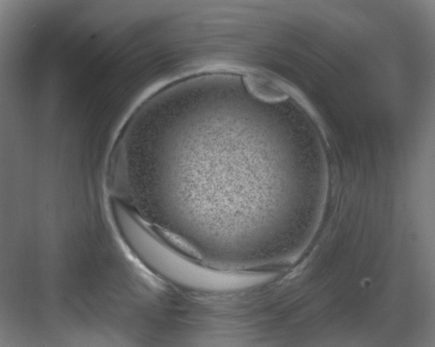 X0000082931048200702081535