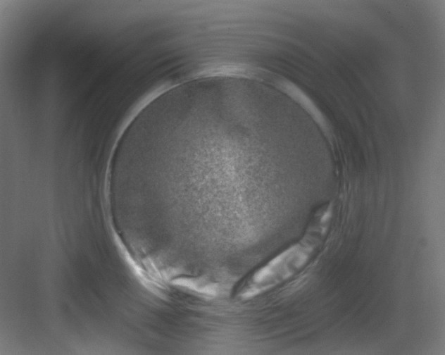 X0000082931050200702081536