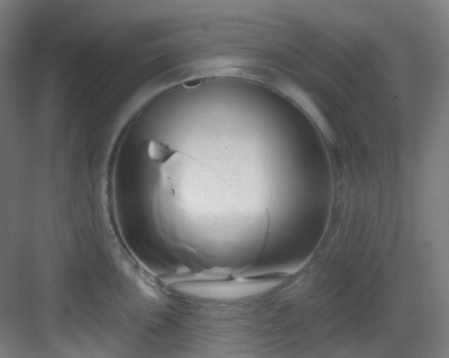 X0000082931051200702081536