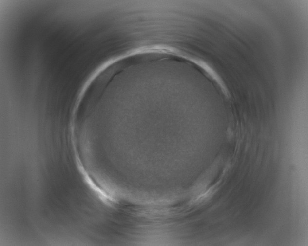 X0000082931054200702081536