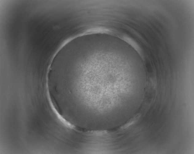 X0000082931055200702081536