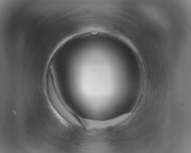 X0000082931056200702081536