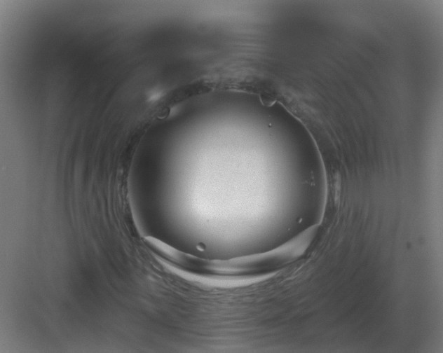 X0000082931059200702081535