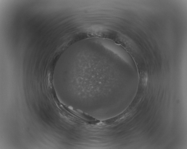 X0000082931060200702081535