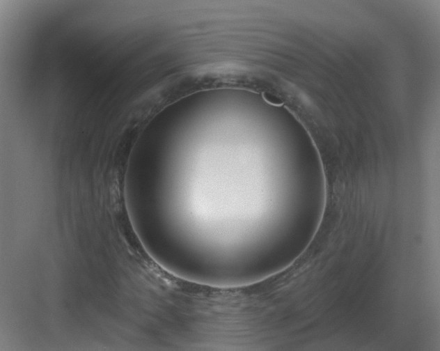 X0000082931062200702081535