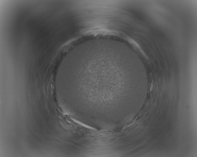 X0000082931063200702081535