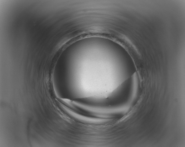 X0000082931065200702081535