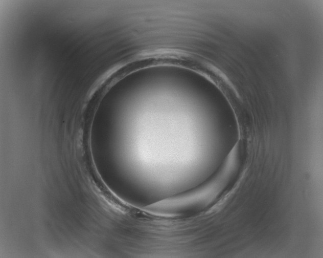 X0000082931066200702081535