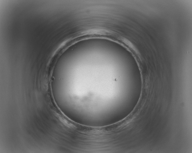 X0000082931067200702081535